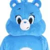 Bauer Pacific Grumpy Bear Adult Care Bears Mascot Mask -SCREAM COSTUMES shop adult care bears grumpy bear mascot head