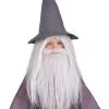 Rubies Costume Co. Inc Gandalf Beard And Wig Set For Kids -SCREAM COSTUMES shop kids gandalf beard and wig set